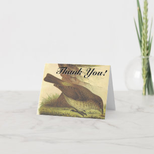 Vogel pickt am Boden "Danke!" Karte