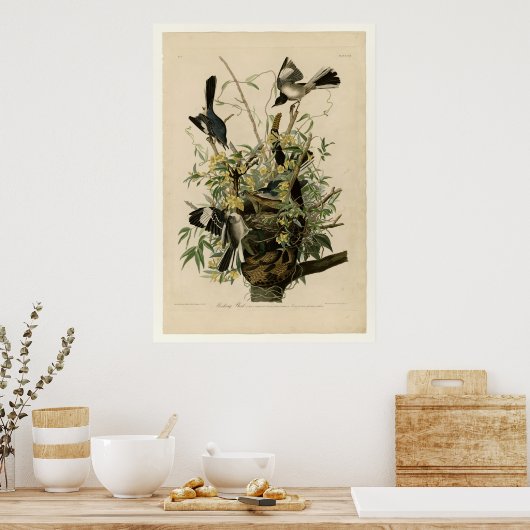 Vogel Poster (Küche)