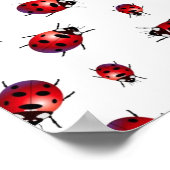 Vögel Poster (Ecke)