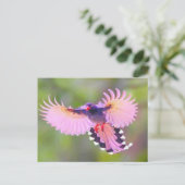 Vogel Postkarte (Stehend Vorderseite)