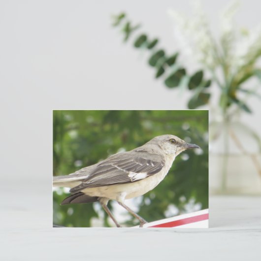 Vogel Postkarte (Stehend Vorderseite)