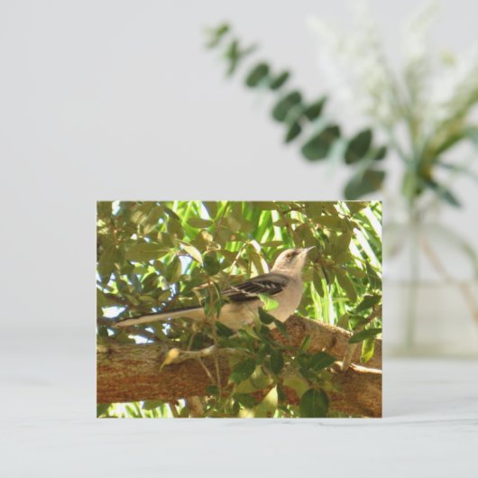 Vogel Postkarte (Stehend Vorderseite)