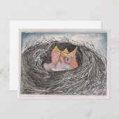 Vögel Postkarte (Vorne/Hinten)