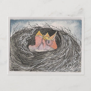 Vögel Postkarte