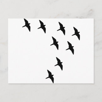 Vögel Postkarte