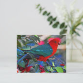 Vogel Postkarte (Stehend Vorderseite)