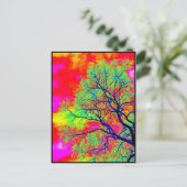 Vögel Postkarte (Stehend Vorderseite)