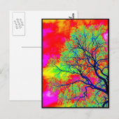 Vögel Postkarte (Vorne/Hinten)