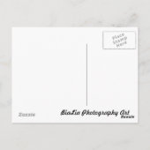 Vögel Postkarte (Rückseite)