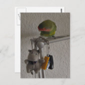 Vogel Postkarte (Vorne/Hinten)