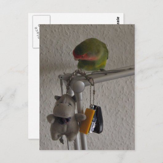 Vogel Postkarte (Vorne/Hinten)