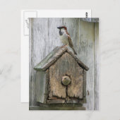 Vögel Postkarte (Vorne/Hinten)