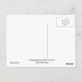 Vögel Postkarte (Rückseite)