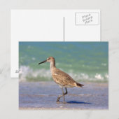 Vogel Postkarte (Vorne/Hinten)