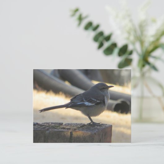 Vogel Postkarte (Stehend Vorderseite)