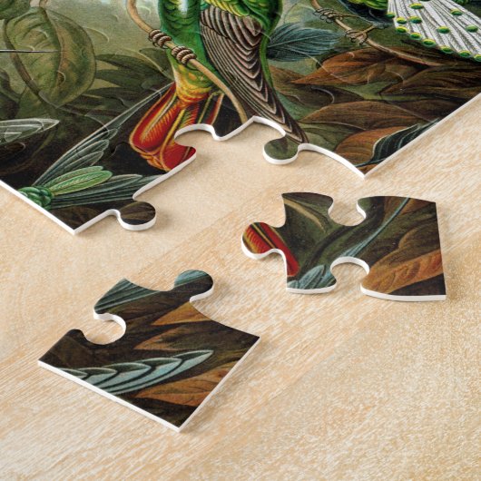 Vögel Puzzle (Seite)