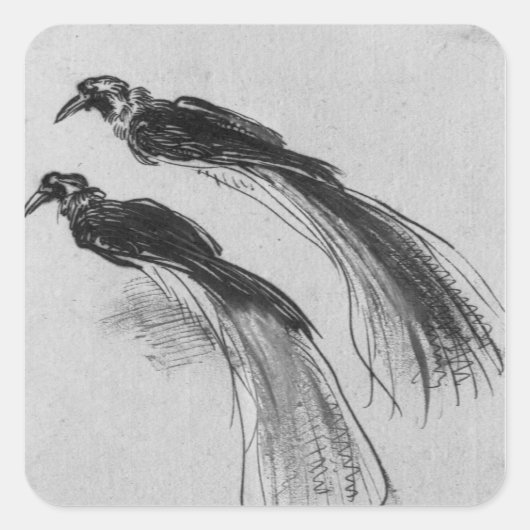 Vögel Quadratischer Aufkleber (Vorderseite)