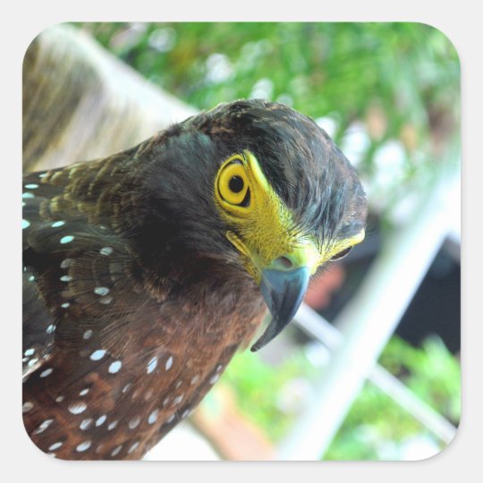 Vögel Quadratischer Aufkleber
