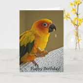 Vogel-Raum-Gruß-Karte Sun Conure Karte (Gelbe Blume)