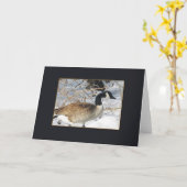 Vogel-Reihe Karte (Gelbe Blume)