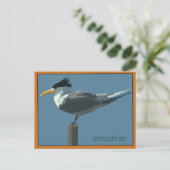 Vogel--Ried-Seeschwalbe Postkarte (Stehend Vorderseite)