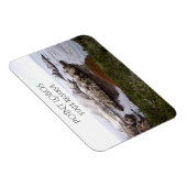 Vogel Rock, Point Lobos Staat Reserve Magnet (Rechte Seite)