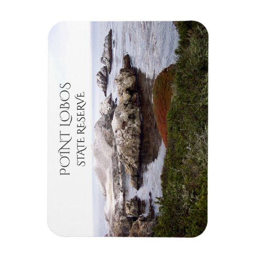 Vogel Rock, Point Lobos Staat Reserve Magnet (Vertikal)