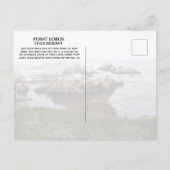 Vogel Rock, Point Lobos Staat Reserve Postkarte (Rückseite)
