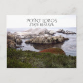 Vogel Rock, Point Lobos Staat Reserve Postkarte (Vorderseite)