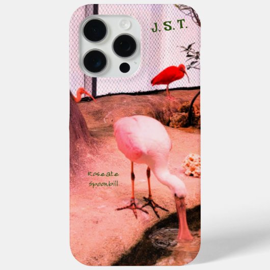 Vogel-Rose-Spoonbill iPhone/iPad-Gehäuse Case-Mate iPhone Hülle (Rückseite)
