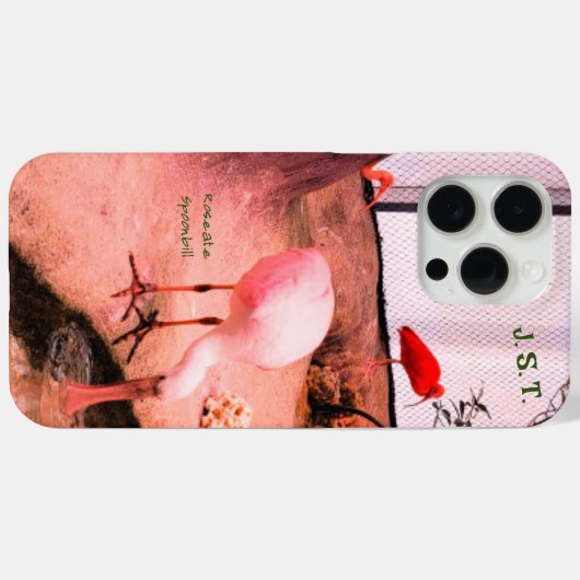 Vogel-Rose-Spoonbill iPhone/iPad-Gehäuse Case-Mate iPhone Hülle (Rückseite (Horizontal))