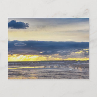 Vögel sammeln sich am Strand von Florida bei Sonne Postkarte