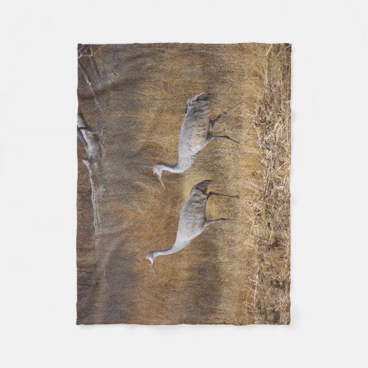 Vögel Sandhill streckt Tier-Fleece-Decke Fleecedecke (Vorderseite)