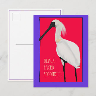 Vogel -- Schwarzgesichtlöffler Postkarte