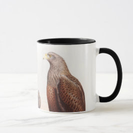 Vögel SeeEagles John Gould von Tasse
