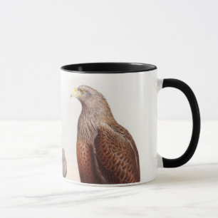 Vögel SeeEagles John Gould von Tasse