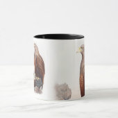 Vögel SeeEagles John Gould von Tasse (Zentrum)