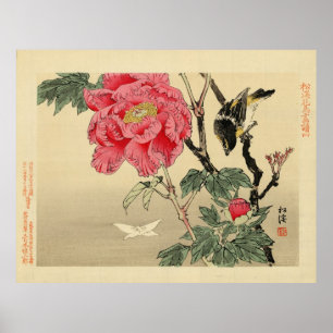 Vögel sehen Schmetterling Poster