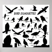 Vogel-Silhouetten (29) Poster (Vorne)