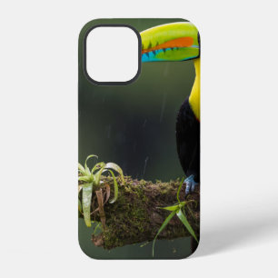 Vögel sind die einzigen Tiere mit Federn 2 iPhone 12 Hülle
