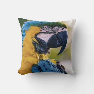 Vögel sind die einzigen Tiere mit Federn 8 Kissen