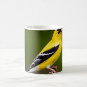 Vögel sind die einzigen Tiere mit Federn 9 Kaffeetasse (Mittel)