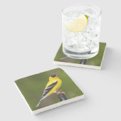 Vögel sind die einzigen Tiere mit Federn 9 Steinuntersetzer (Seitenansicht)