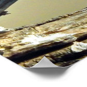 Vögel sind die einzigen Tiere mit Federn Poster (Ecke)