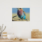 Vögel sind die einzigen Tiere mit Federn Poster (Küche)