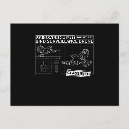 Vögel sind nicht real - Funny Vogelbeobachtung Postkarte (Vorderseite)