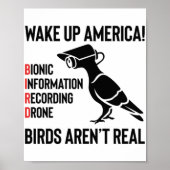Vögel sind nicht real - wenn sie fliegen, spionier poster (Vorne)