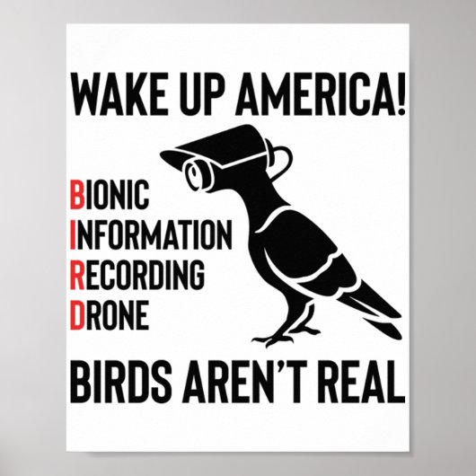 Vögel sind nicht real - wenn sie fliegen, spionier poster (Vorne)