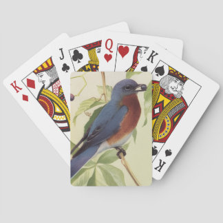 Vogel Spielkarten