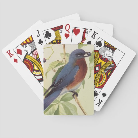 Vogel Spielkarten (Rückseite)